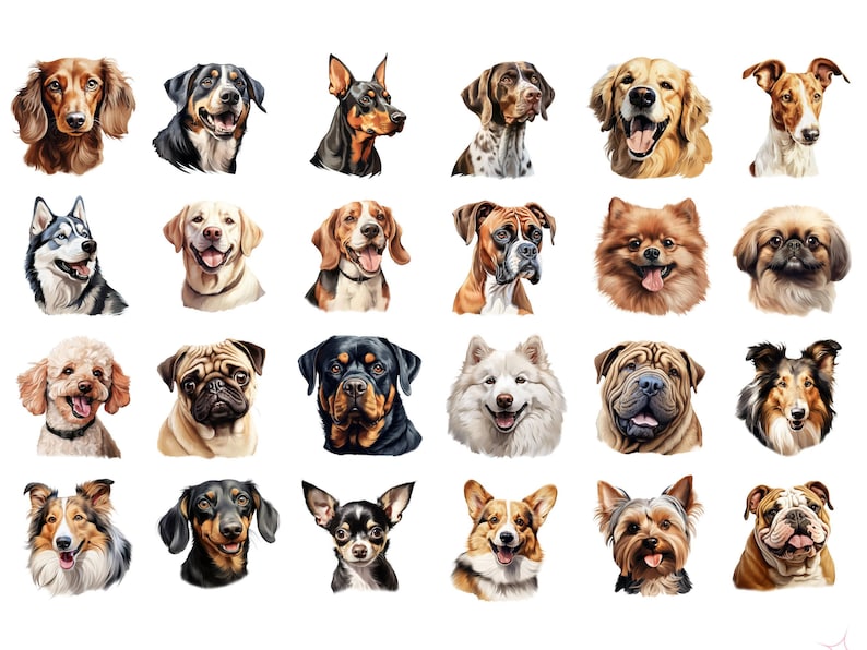 Dog Clipart Bundle · Puppy Breed Canine Clipart PNG · Cricut Files bild 8