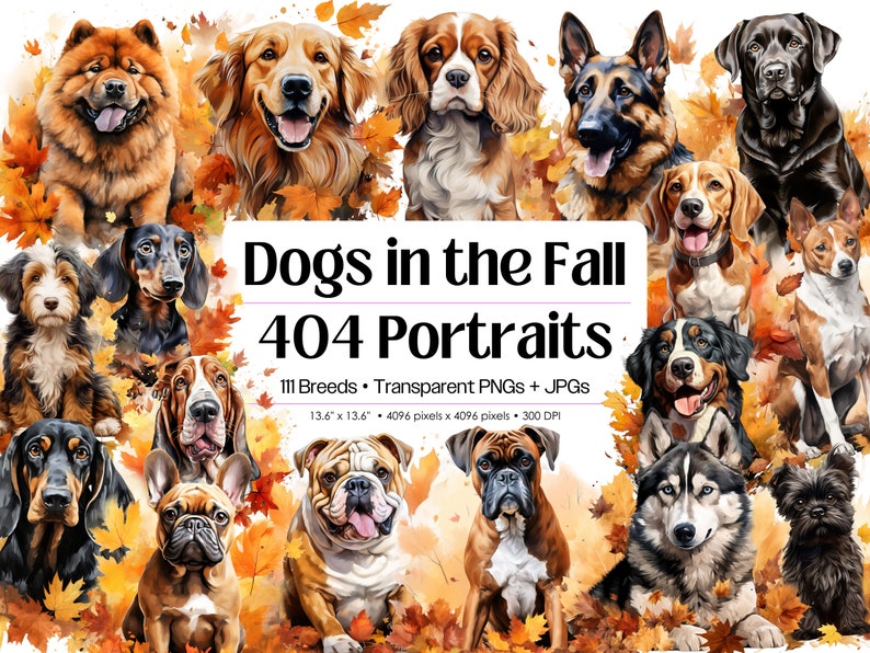 Dogs in the Fall 404 Dogs Clipart Bundle Watercolor Puppy and Dog PNG for Sublimation, 111 Breeds Dog Designs Digital Download Print Art Bild 1