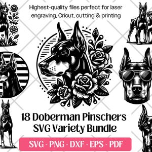 Puede incluir: Un conjunto de 18 archivos SVG de Doberman Pinscher en blanco y negro. Los diseños incluyen retratos, imágenes de cuerpo completo e imágenes con gafas de sol. El texto dice "Highest-quality files perfect for laser engraving, Cricut, cutting & printing."