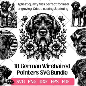以下が含まれることがあります： ジャーマン・ワイヤーヘアード・ポインター犬の白黒イラストのコレクション。デザインには、全身、顔のアップ、肖像画が含まれており、花柄のアクセントやサングラスが付いているものもあります。テキストには「18 German Wirehaired Pointers SVG Bundle」と書かれています。