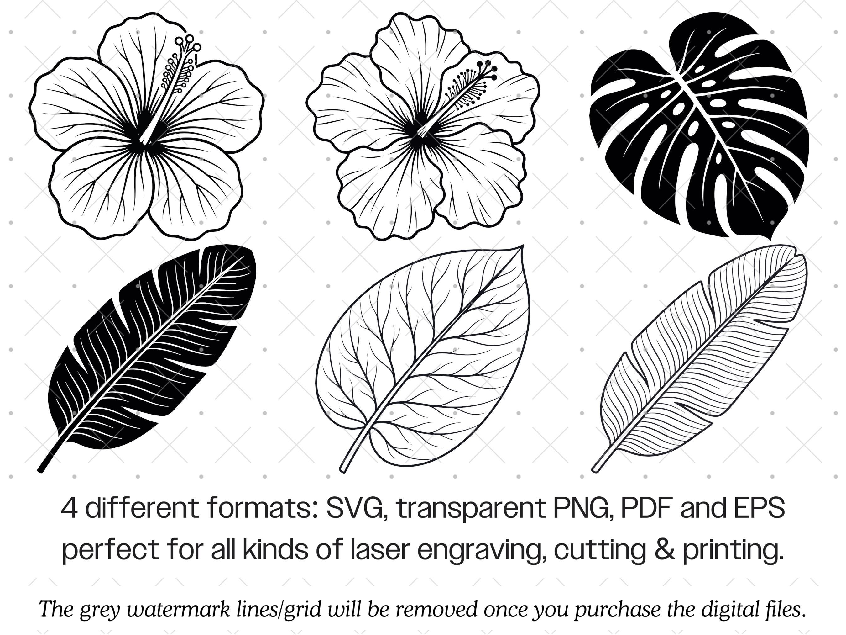 Hibiscus SVG Bundle · Tropical Floral Botanical Clipart PNG · Cricut - Etsy