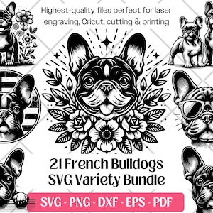 Französische Bulldogge SVG Bundle, Vektor, PNG, DXF, Eps, PDF-Schnitt, Lasergravurdateien, süße französische Bulldogge Frenchie Clipart Sublimationsdruck