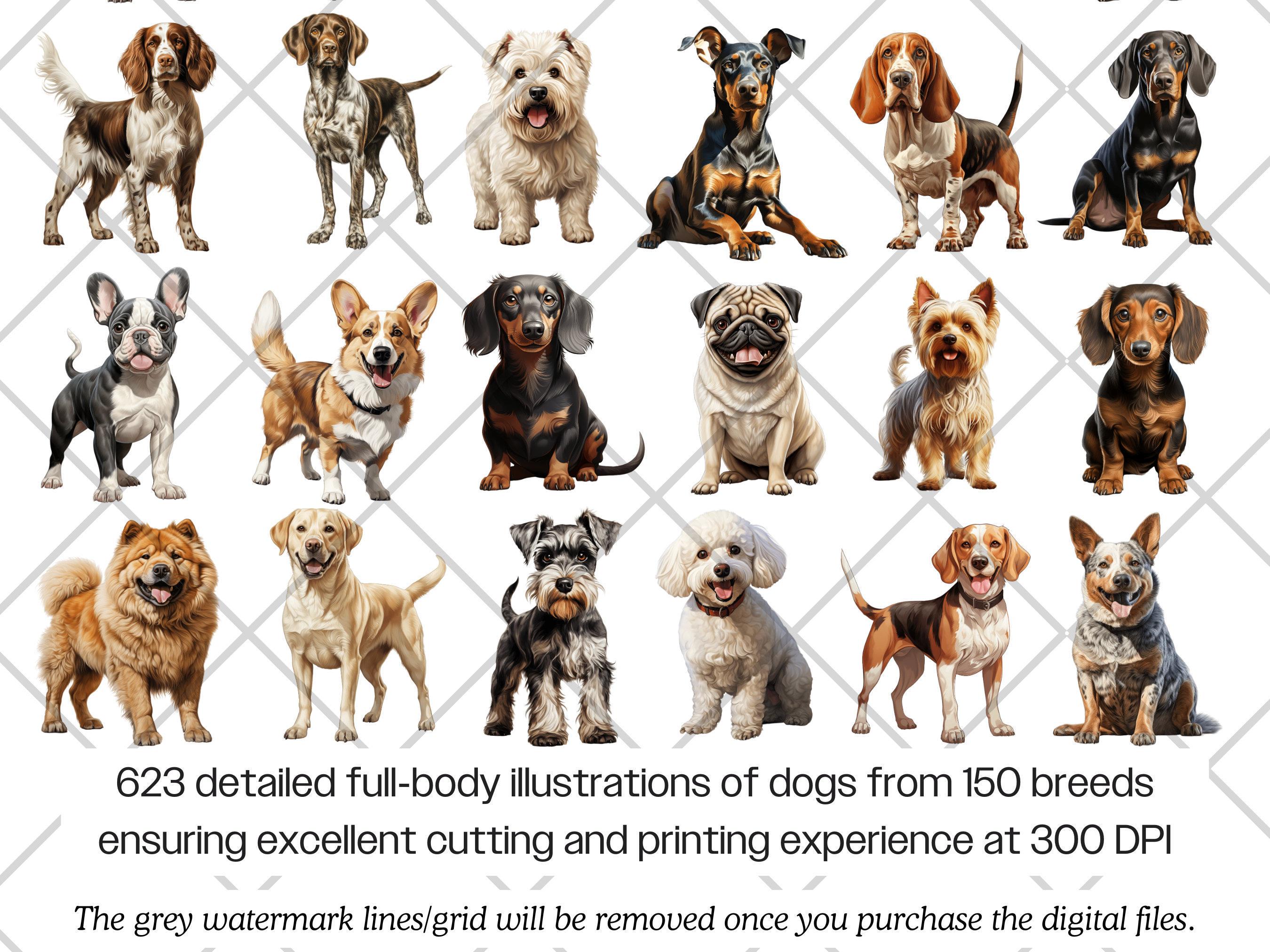 Dog Breeds Watercolor PNG Bundle · Puppy Canine Sublimation Clipart - Etsy