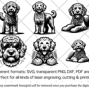 Goldendoodle SVG Bundle · Doodle Fluffy Pet Dog Clipart PNG · Cricut - Etsy