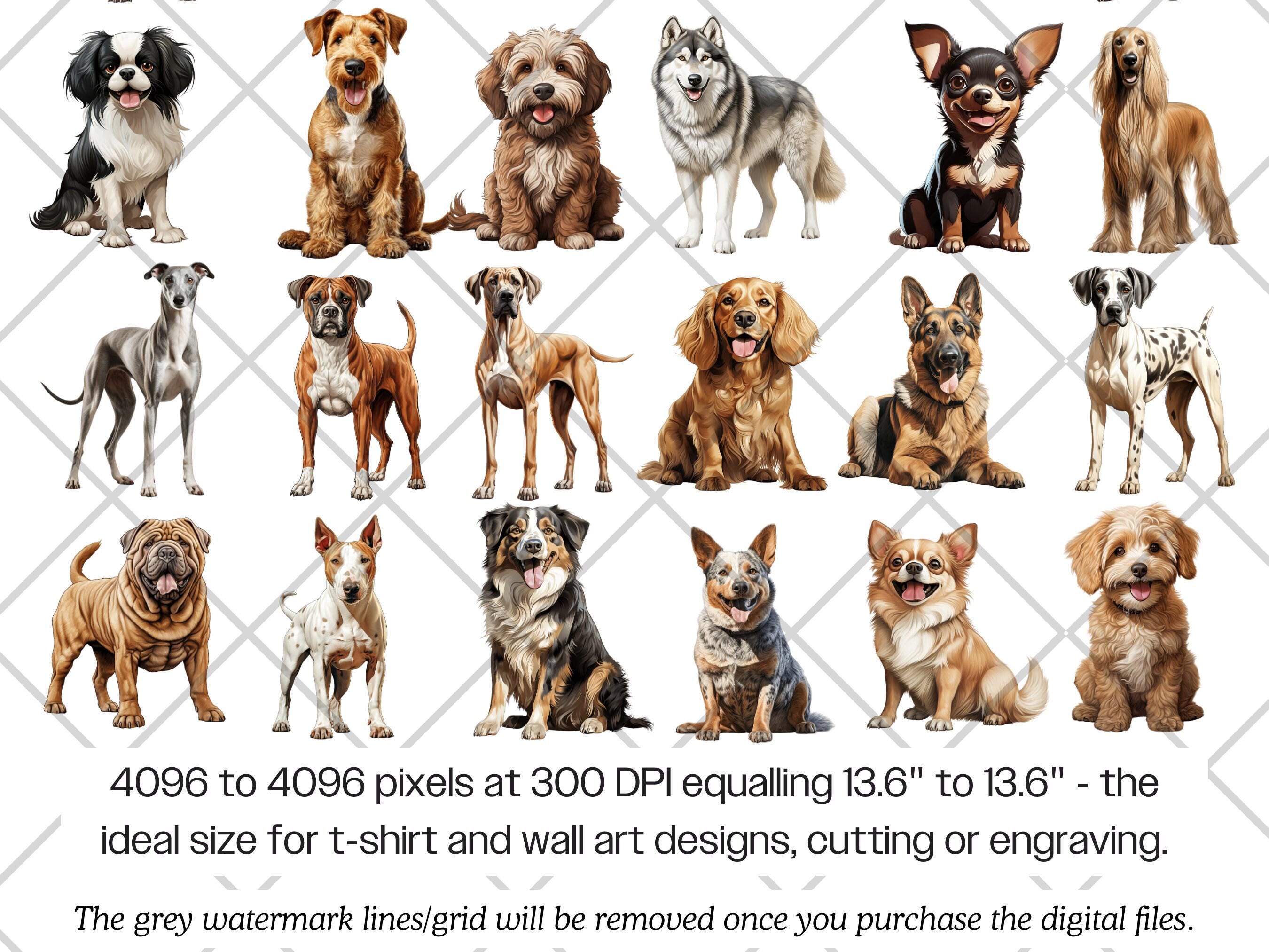 Dog Breeds Watercolor PNG Bundle · Puppy Canine Sublimation Clipart - Etsy