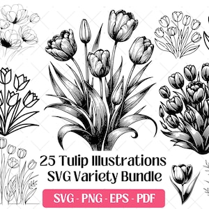 Tulip SVG Bundle, Cutting Laser Engraving Files,PNG Eps · Botanical Tulips Bouquet Wildflower Floral Silhouette Clipart Svg Sublimation file