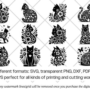 Pakiet SVG z motywem kwiatowym i sylwetką botaniczną Cricut (png, pdf) zdjęcie 6