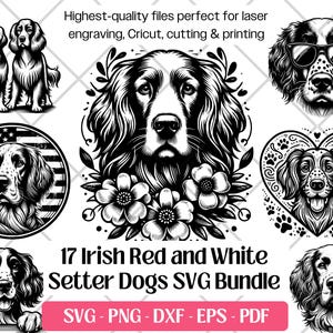 Ierse rode en witte setter SVG-bundel, vector, png, dxf, eps, pdf, snijden lasergravurebestanden, Ierse rode en witte setter clipart sublimatie