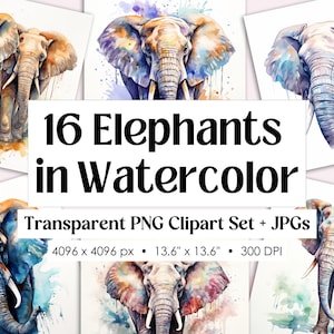PNG-pakket olifant, 16 clipartafbeeldingen aquarel olifant, olifant illustratie tekening set voor sublimatie, familie moeder en babyolifant
