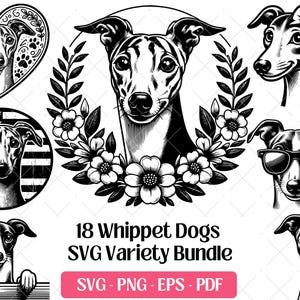 Whippet SVG Bundle · Sighthound Racing Greyhound Clipart PNG · Cricut