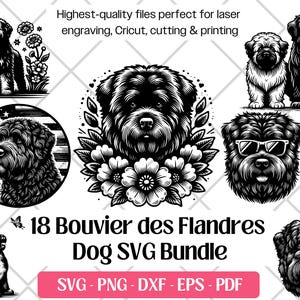 Bundle SVG Bouvier des Flandres, vecteur de chien mignon, PNG, DXF, Eps, fichiers de gravure laser de découpe Pdf, Sublimation des cliparts Bouvier des Flandres