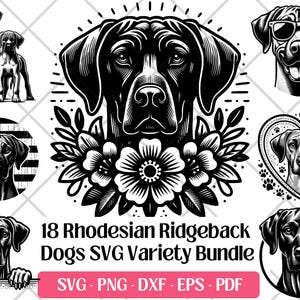 Puede incluir: Una taza de cerámica blanca con un asa negra y el texto "But First, Coffee" en negro, en negrita. La taza está sobre una superficie blanca.