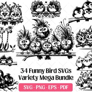 Funny Bird SVG Bundle, Cute Birds Cutting Laser Engraving Files Vector PNG Eps, Angry Quirky Cartoon Bird Clipart Design Svg Silhouette