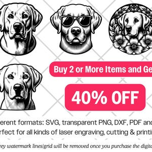 Labrador Retriever SVG Bundle · Lab Hunting Dog Clipart PNG · Cricut - Etsy