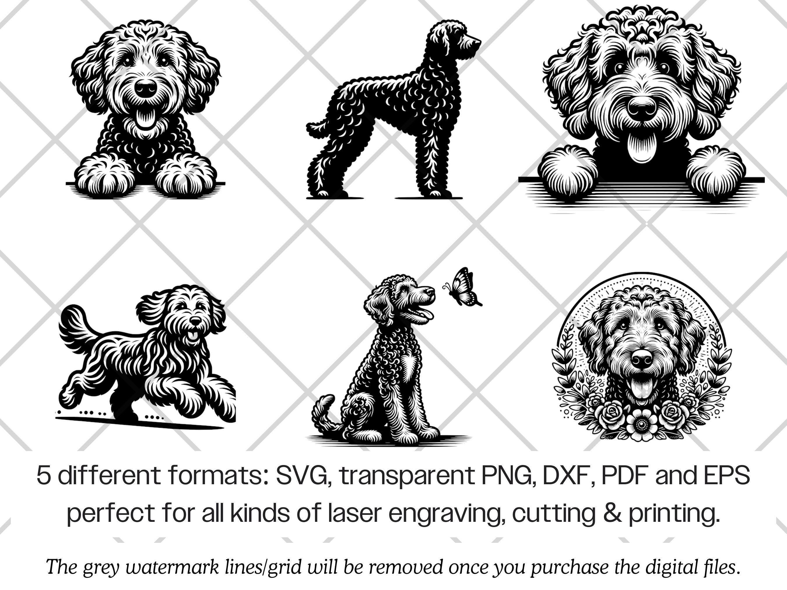 Labradoodle SVG Bundle · Doodle Fluffy Dog Clipart PNG · Cricut Files ...