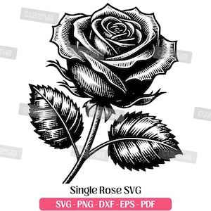 Roos SVG snijden lasergravure bestand, png dxf eps pdf, enkele roos bloem Valentijnsdag liefde SVG clipart ontwerp sublimatie