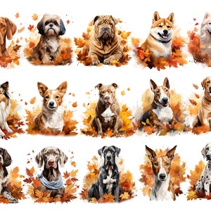 Dogs in the Fall 404 Dogs Clipart Bundle Watercolor Puppy and Dog PNG for Sublimation, 111 Breeds Dog Designs Digital Download Print Art Bild 5