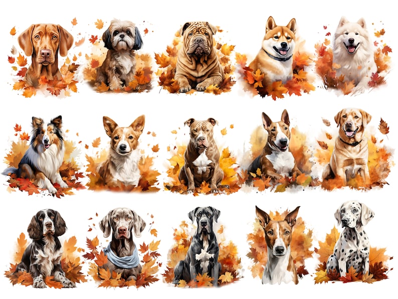 Dogs in the Fall 404 Dogs Clipart Bundle Watercolor Puppy and Dog PNG for Sublimation, 111 Breeds Dog Designs Digital Download Print Art Bild 5