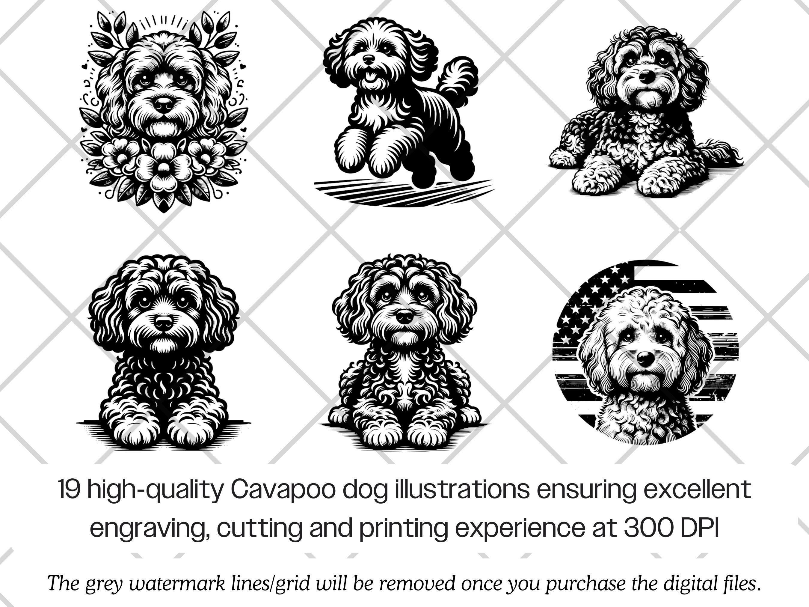 Cavapoo SVG Bundle · Doodle Fluffy Dog Clipart PNG · Cricut Files - Etsy