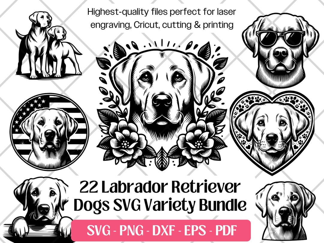 Labrador Retriever SVG Bundle · Lab Hunting Dog Clipart PNG · Cricut - Etsy