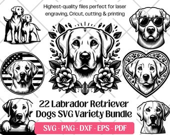 Bundle SVG labrador retriever · Clipart de chien de chasse de laboratoire PNG · Cricut