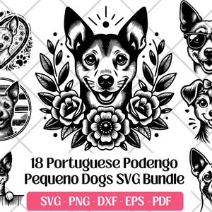 Pacchetto SVG Podengo Pequeno portoghese, PNG, DXF, Eps, file di incisione laser per taglio PDF, clipart Podengo Pequeno portoghese cane sublimazione