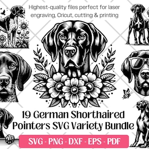 Puede incluir: Una colección de ilustraciones en blanco y negro de perros Braco Alemán de pelo corto. Las imágenes incluyen retratos, poses de cuerpo completo y perros con gafas de sol. El texto dice "19 German Shorthaired Pointers SVG Variety Bundle."