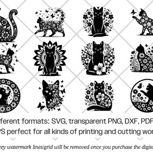 Pakiet SVG z motywem kwiatowym i sylwetką botaniczną Cricut (png, pdf) zdjęcie 9