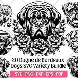 Bordeauxdog SVG-bundel, Vector, PNG, DXF, Eps, Pdf snijden lasergravure-bestanden, Bordeauxdog clipart schattige hond sublimatie print