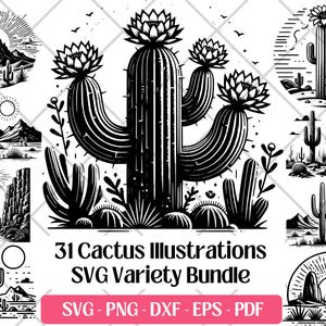 Paquete SVG de cactus, archivos de corte, arte vectorial, PNG, DXF, Eps, PDF, archivos de grabado láser · Cactus, suculentas, escena del desierto, clipart Svg