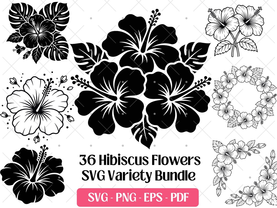 Hibiscus SVG Bundle · Tropical Floral Botanical Clipart PNG · Cricut - Etsy