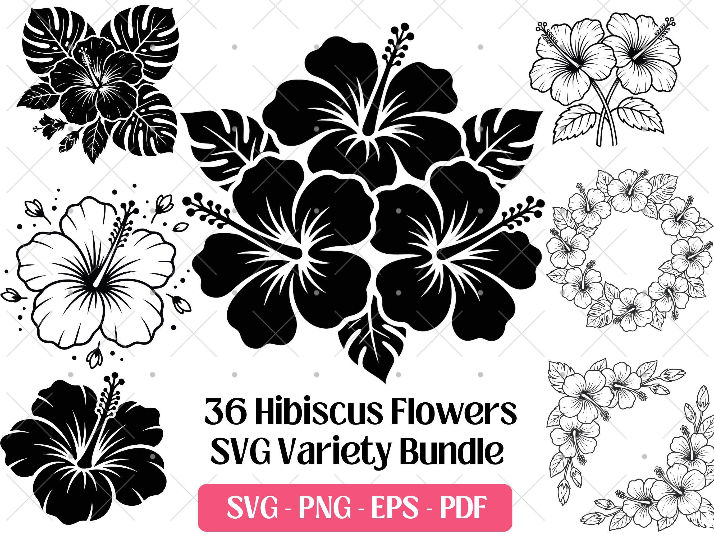 Hibiscus SVG Bundle · Tropical Floral Botanical Clipart PNG · Cricut - Etsy