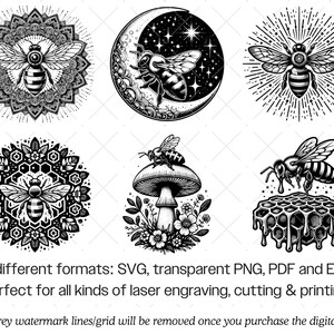 Bi SVG-paket · Blommig honungsbi honung natur Clipart PNG · Cricut bild 5