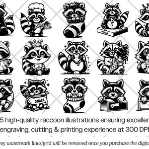 Raccoon SVG Bundle · Funny Baby Animal Clipart PNG · Cricut Files image 3