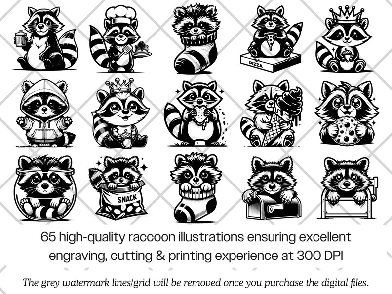 Raccoon SVG Bundle · Funny Baby Animal Clipart PNG · Cricut Files image 3