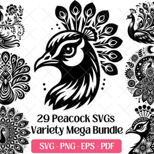 孔雀のSVGバンドル、かわいい孔雀のエキゾチックな鳥のクリップアートPng羽SVG Cricutカッティングレーザー彫刻ファイルベクターPNG EPSデザインシルエット
