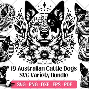 Australischer Rinderhund SVG Bundle, Vektor, PNG, DXF, Eps, Pdf-Schnitt Laser-Gravur-Dateien, niedlicher australischer Rinderhund Clipart Hund Sublimation