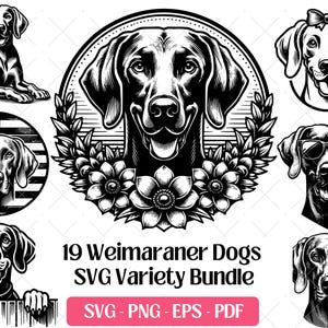 Puede incluir: Un paquete variado SVG en blanco y negro con 19 ilustraciones de perros Weimaraner. Los diseños incluyen perros con gafas de sol, lazos y en varias poses. El paquete incluye formatos SVG, PNG, EPS y PDF.