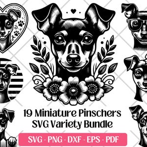 Dwergpinscher SVG-bundel, Vector, PNG, DXF, Eps, Pdf-snijden en lasergravure-bestanden, Dwergpinscher-clipart schattige hond sublimatie