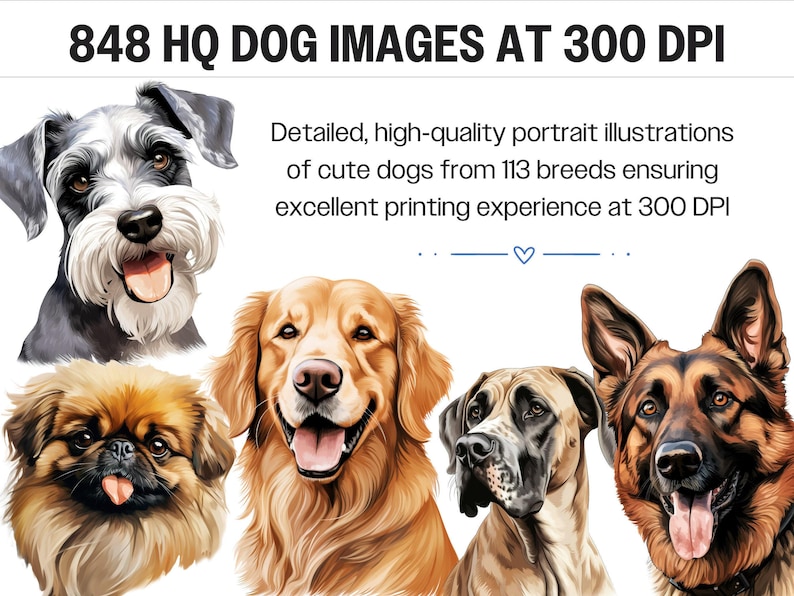 Dog Clipart Bundle · Puppy Breed Canine Clipart PNG · Cricut Files bild 2