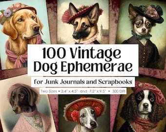 Lot vintage de portraits de chiens · Journal indésirable à imprimer