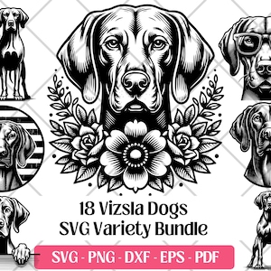 Vizsla SVG Bundle, Vektor, PNG, DXF, Eps, Pdf-Schnitt- und Lasergravurdateien, Vizsla Clipart Niedlicher Hund Welpe Sublimationsdruck