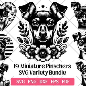 Puede incluir: Una colección de 19 diseños SVG de Pinscher miniatura en blanco y negro. Los diseños incluyen retratos de perros con varios accesorios, como gafas y lazos, y elementos decorativos como corazones y flores. También se incluye el texto "19 Miniature Pinschers SVG Variety Bundle".