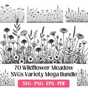 Paquete SVG de flores silvestres, archivos de corte y grabado láser, PNG, EPS y PDF · Silueta de borde floral botánico de prado de flores silvestres (SVG)