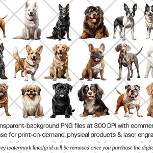 Dog Breeds Watercolor PNG Bundle · Puppy Canine Sublimation Clipart - Etsy