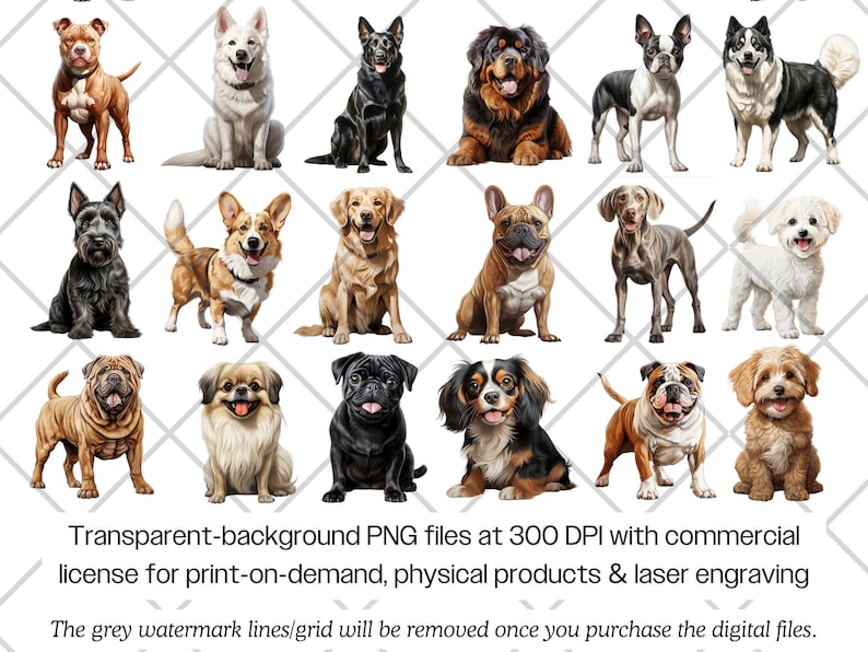Dog Breeds Watercolor PNG Bundle · Puppy Canine Sublimation Clipart - Etsy