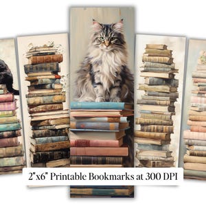 Lot de livres vintage, Pile de SVG · Clipart de journal de lecteur image 2