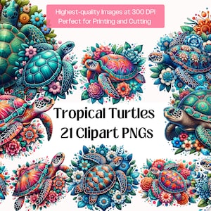 Schildkröte Clipart Bundle, 21 Meeresschildkröte PNG Grafiken, Aquarell Schildkröte Sublimationsdruck für Kinderzimmer Wandkunst, Print-on-Demand digitaler Download