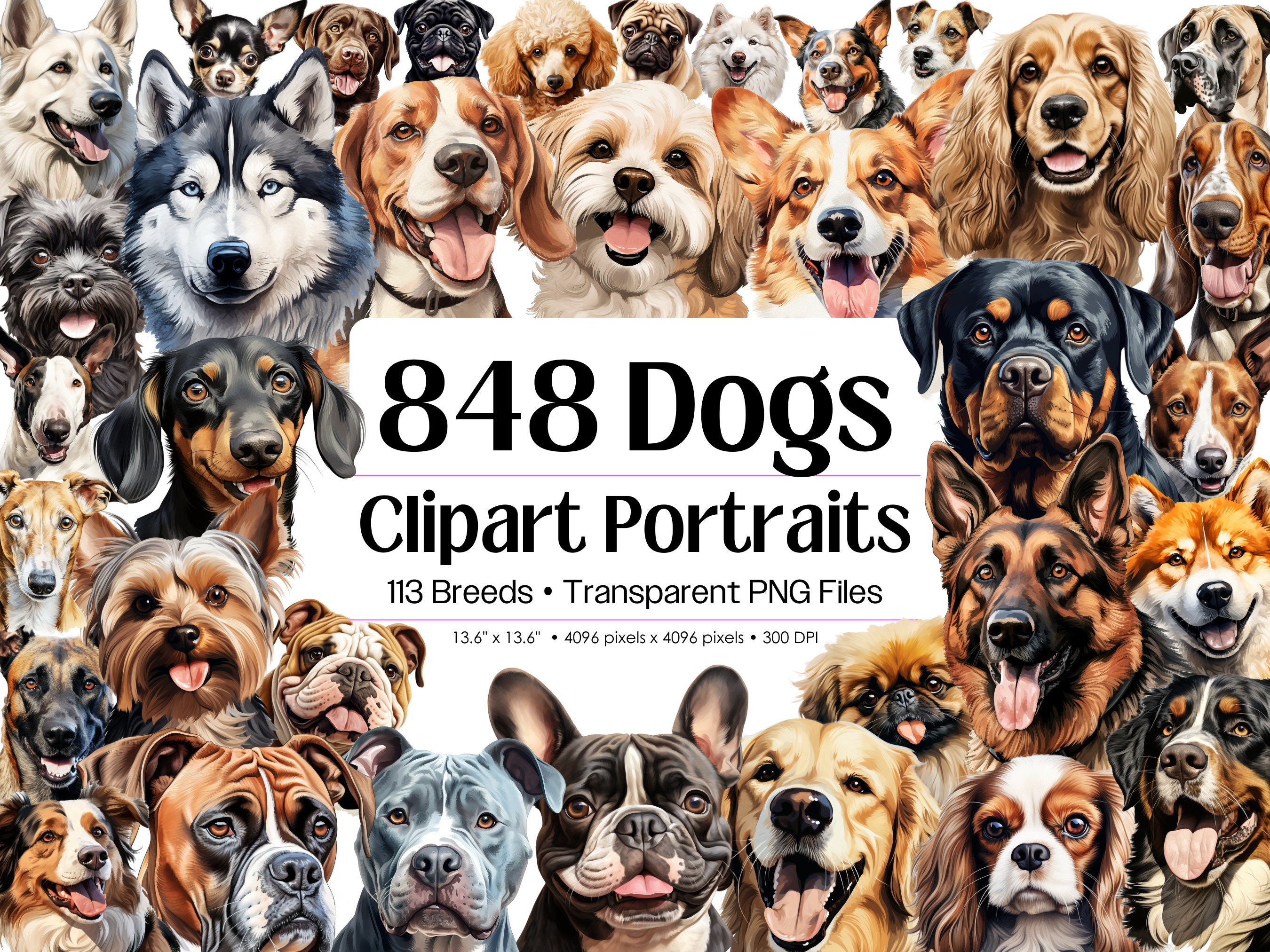 Dog Clipart Bundle, 848 Watercolor Dog Clipart Sublimation Designs, Dog Breeds PNG File,Cute Dogs Digital Illustration,Puppy Portrait Prints