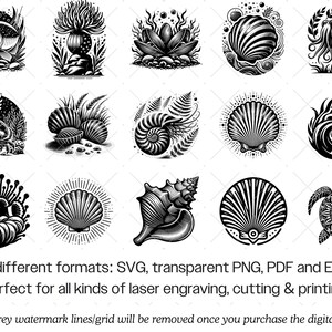 Ozean Tier SVG Bundle · Meereswelt Clipart PNG · Cricut Dateien Bild 7